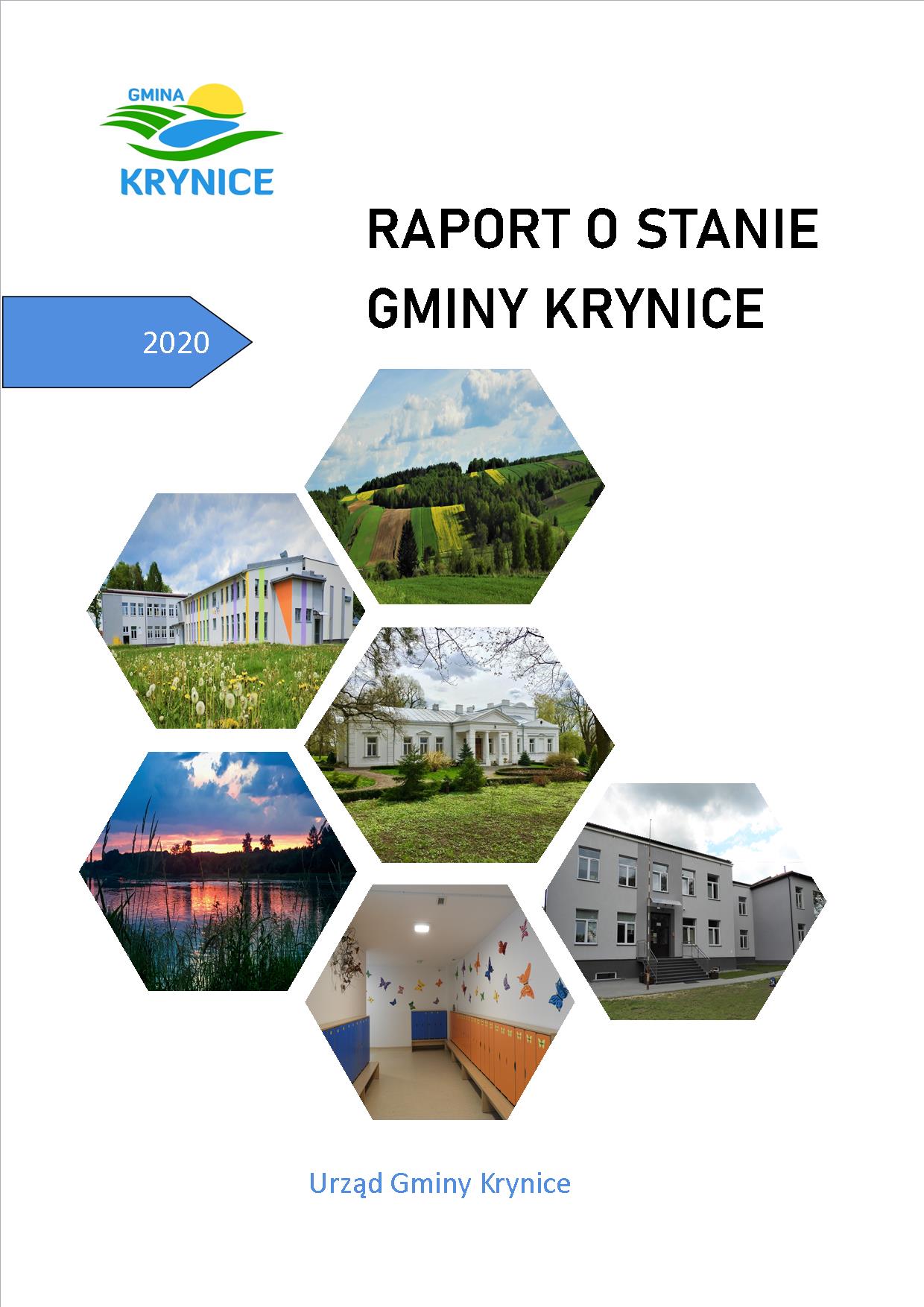 raport 2020
